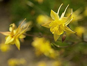 Game Connection欧洲线下展开展在即，空前火热的游戏商务氛围再次回归!